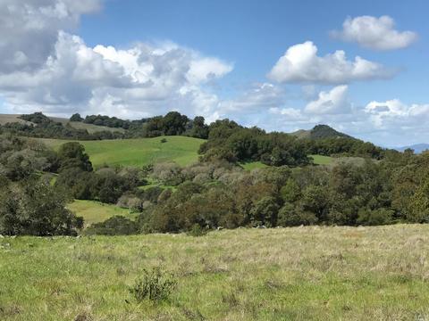 12200 Brooks Rd, Windsor, CA 95492 photo 6