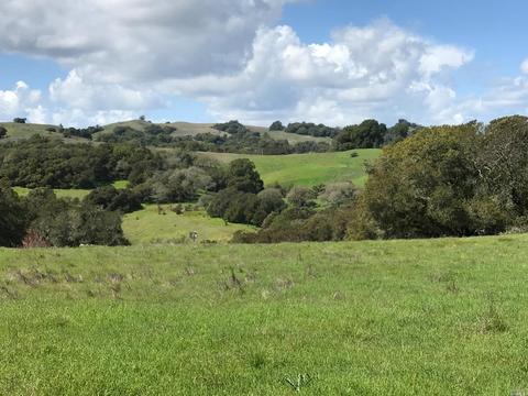 12200 Brooks Rd, Windsor, CA 95492 photo 4