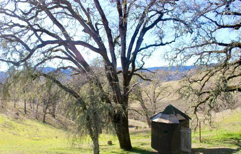 4640 Bus Mcgall Rd, Ukiah, CA 95482 photo 28