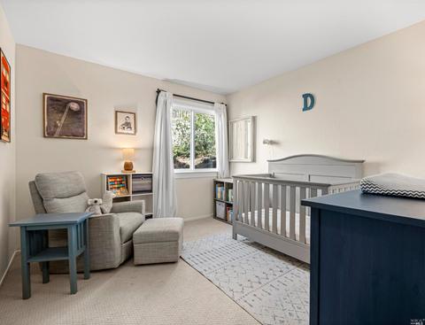 14 Dickens Ct, Mill Valley, CA 94941 photo 21