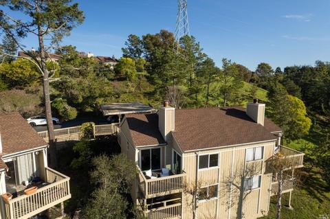 14 Dickens Ct, Mill Valley, CA 94941 photo 3