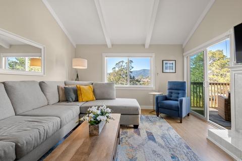 14 Dickens Ct, Mill Valley, CA 94941 photo 17