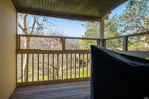 14 Dickens Ct, Mill Valley, CA 94941 photo 25