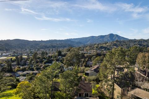14 Dickens Ct, Mill Valley, CA 94941 photo 35