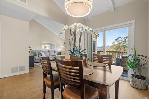 14 Dickens Ct, Mill Valley, CA 94941 photo 13