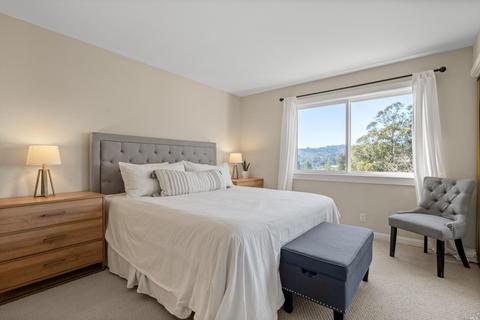 14 Dickens Ct, Mill Valley, CA 94941 photo 27