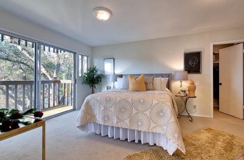 630 Davidson St, Novato, CA 94945 photo 46
