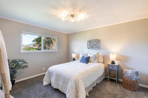 3672 Willis Dr, Napa, CA 94558 photo 24