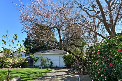 696 2nd St E, Sonoma, CA 95476 photo 5