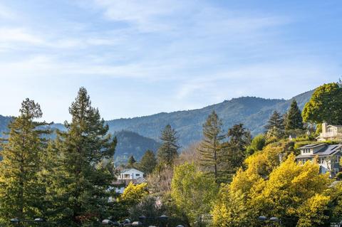 341 E Blithedale Ave, Mill Valley, CA 94941 photo 20
