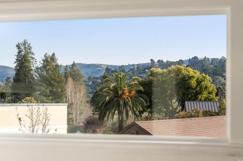 341 E Blithedale Ave, Mill Valley, CA 94941 photo 7