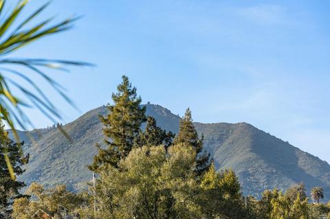 341 E Blithedale Ave, Mill Valley, CA 94941 photo 30