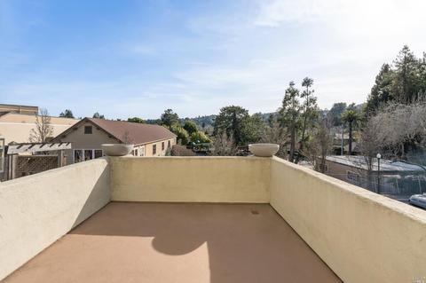 341 E Blithedale Ave, Mill Valley, CA 94941 photo 41