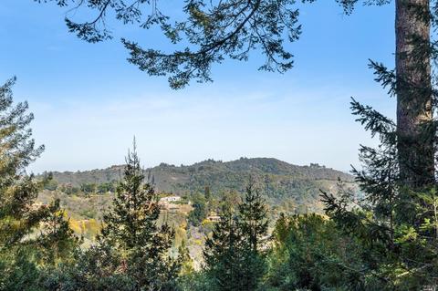 1020 Edgewood Ave, Mill Valley, CA 94941 photo 33