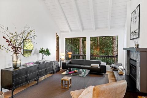 1020 Edgewood Ave, Mill Valley, CA 94941 photo 6