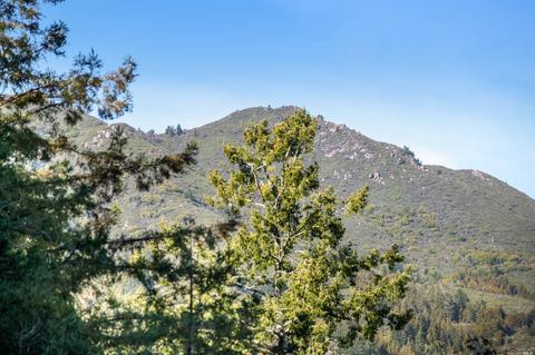 1020 Edgewood Ave, Mill Valley, CA 94941 photo 31