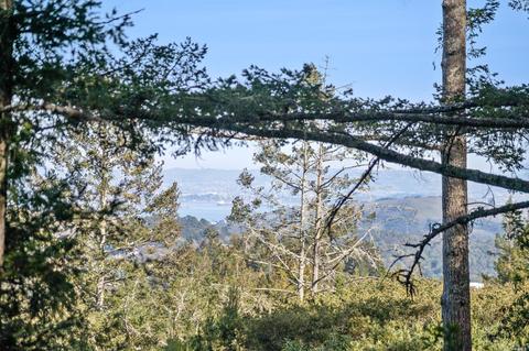 1020 Edgewood Ave, Mill Valley, CA 94941 photo 32