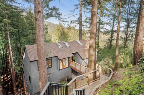 1020 Edgewood Ave, Mill Valley, CA 94941 photo 1