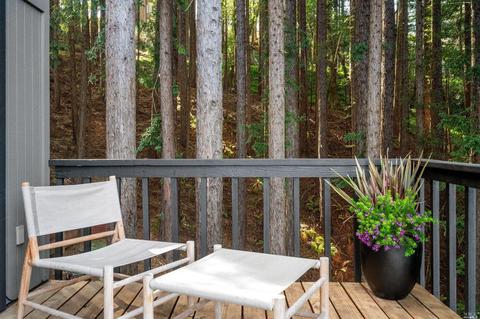 1020 Edgewood Ave, Mill Valley, CA 94941 photo 26