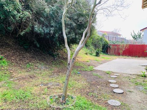 179 Tellerday Ct, Vallejo, CA 94589 photo 49