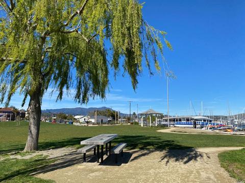 167 Filbert Ave, Sausalito, CA 94965 photo 31