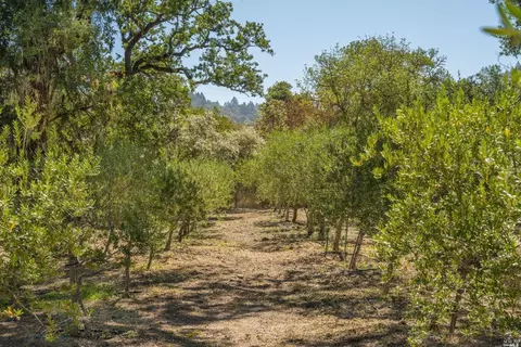 6200 Sharp Rd, Calistoga, CA 94515 photo 34