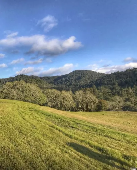 6200 Sharp Rd, Calistoga, CA 94515 photo 40