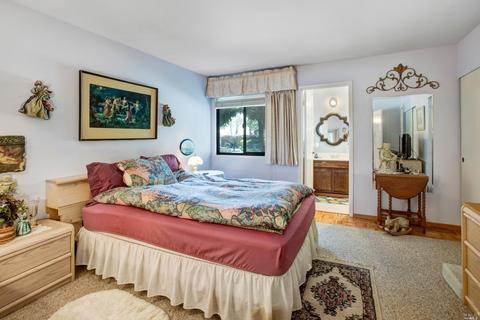 225 2nd St E #11, Sonoma, CA 95476 photo 15