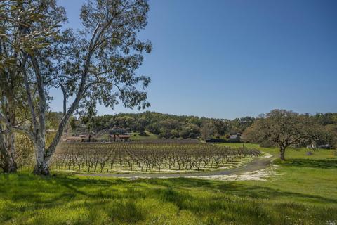 4050 Lovall Valley Loop Rd, Sonoma, CA 95476 photo 3