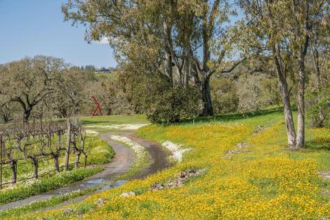 4050 Lovall Valley Loop Rd, Sonoma, CA 95476 photo 21