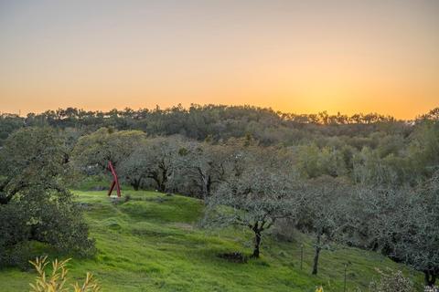 4050 Lovall Valley Loop Rd, Sonoma, CA 95476 photo 42