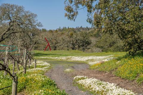 4050 Lovall Valley Loop Rd, Sonoma, CA 95476 photo 20