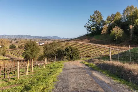 5285 Westside Rd, Healdsburg, CA 95448 photo 18