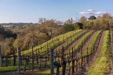 5285 Westside Rd, Healdsburg, CA 95448 photo 20