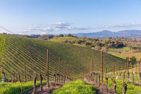 5285 Westside Rd, Healdsburg, CA 95448 photo 51