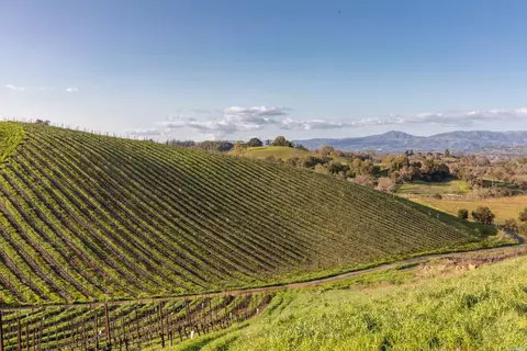 5285 Westside Rd, Healdsburg, CA 95448 photo 50