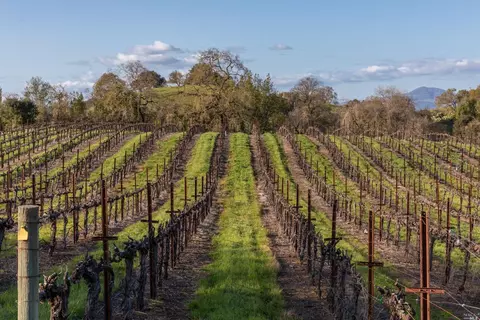 5285 Westside Rd, Healdsburg, CA 95448 photo 19