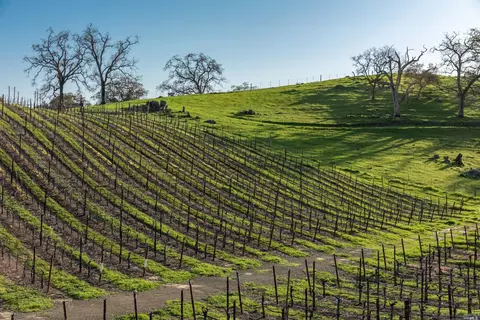 5285 Westside Rd, Healdsburg, CA 95448 photo 23
