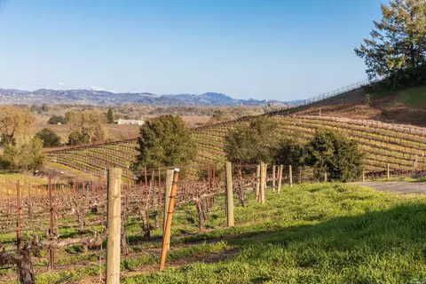 5285 Westside Rd, Healdsburg, CA 95448 photo 48