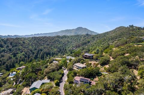 14 Magdalena Ct, Mill Valley, CA 94941 photo 57