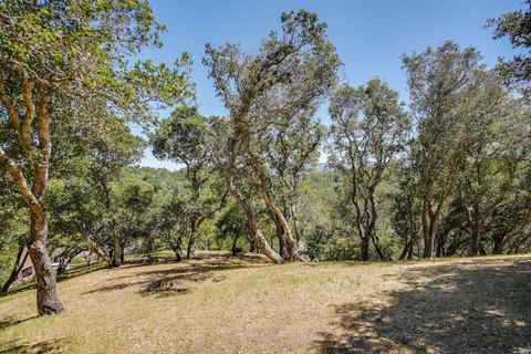 14 Magdalena Ct, Mill Valley, CA 94941 photo 53