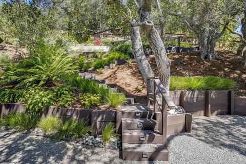 14 Magdalena Ct, Mill Valley, CA 94941 photo 42
