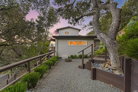 14 Magdalena Ct, Mill Valley, CA 94941 photo 48