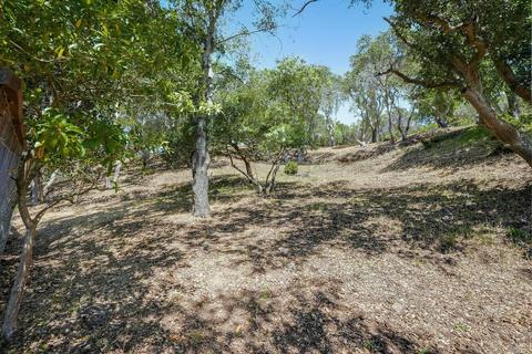14 Magdalena Ct, Mill Valley, CA 94941 photo 52