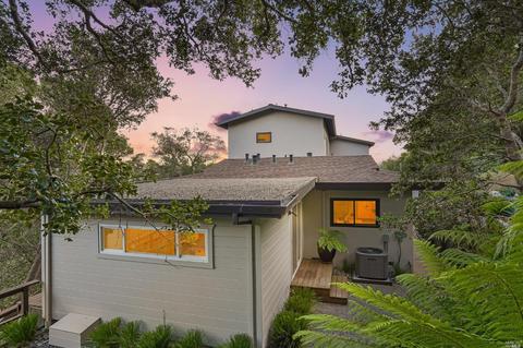 14 Magdalena Ct, Mill Valley, CA 94941 photo 49