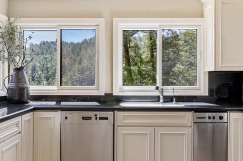 6600 Lucas Valley Rd, Nicasio, CA 94946 photo 21