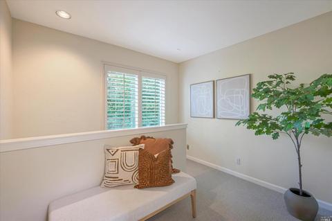 142 Ridge Rd, Fairfax, CA 94930 photo 27