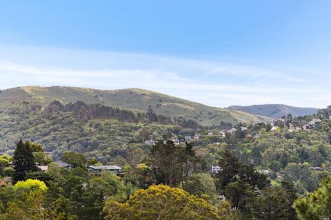 128 Peralta Ave, Mill Valley, CA 94941 photo 38