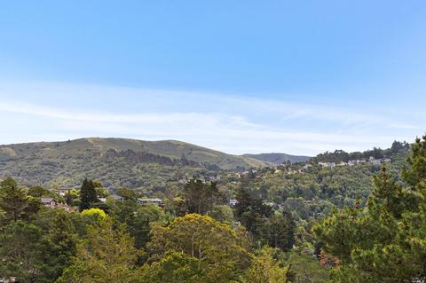 128 Peralta Ave, Mill Valley, CA 94941 photo 40