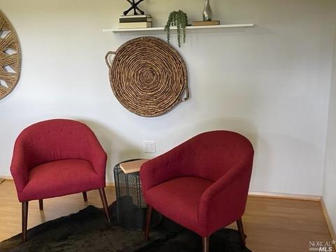 128 Peralta Ave, Mill Valley, CA 94941 photo 42